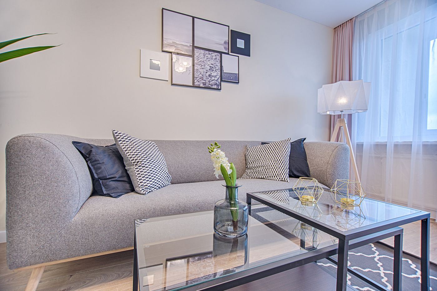 House cleaning in Arlington, VA